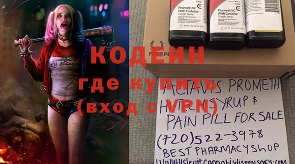 хмурый Ладушкин
