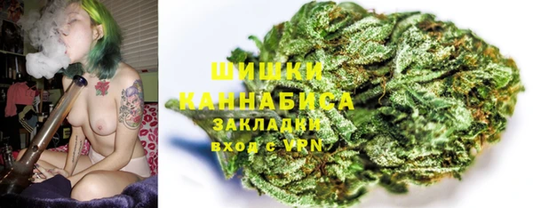 ПСИЛОЦИБИНОВЫЕ ГРИБЫ Лагань
