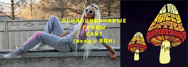 хмурый Ладушкин