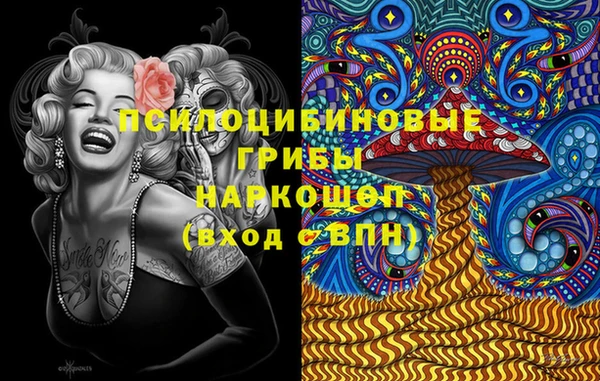 хмурый Ладушкин