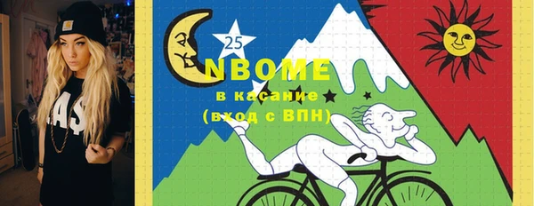 хмурый Ладушкин