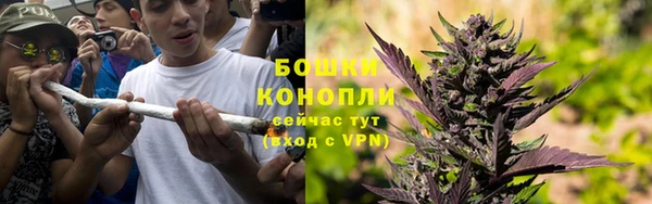 хмурый Ладушкин