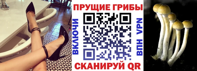Псилоцибиновые грибы прущие грибы  мориарти формула  Чухлома 